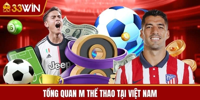 Tổng Quan M Thể Thao Tại Việt Nam
